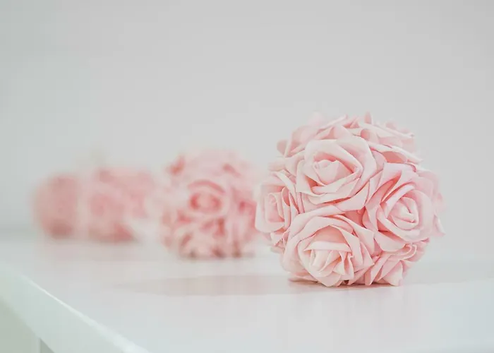 Downtown View Διαμέρισμα *